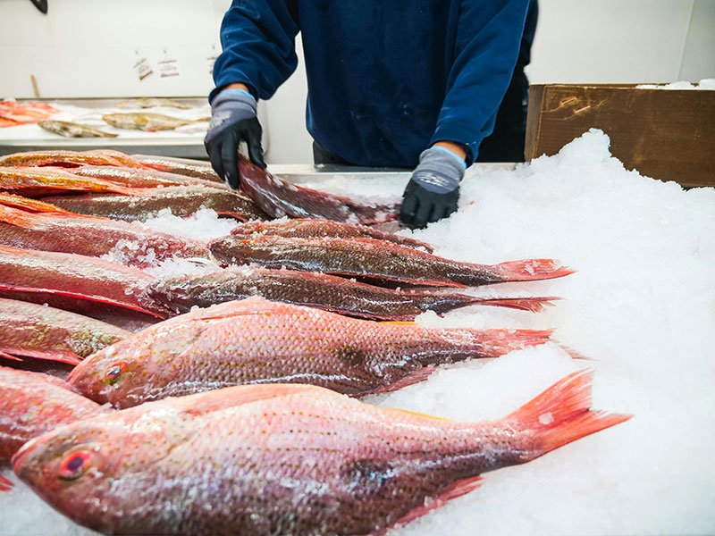 Ocean SOPs